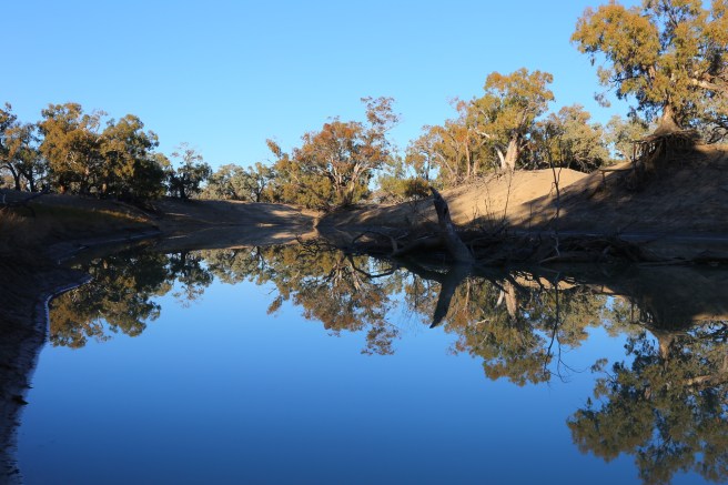 Gundabooka National Park - Darling River