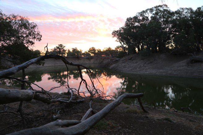 Paroo-Darling National Park - Darling River near Coach and Horses Campground