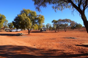 Stuart Highway Desert Oaks Rest Area