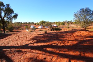 Stuart Highway Desert Oaks Rest Area