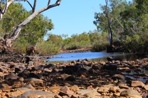 Old Policeman’s Waterhole - Davenport Ranges