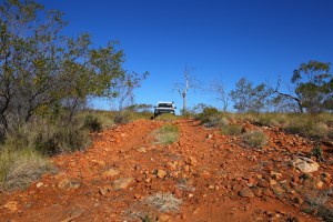 Frew River Track - Davenport Ranges