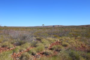 Frew River Track - Davenport Ranges