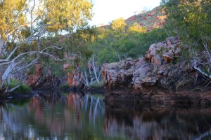 Whistle Duck Creek Campground Davenport Ranges