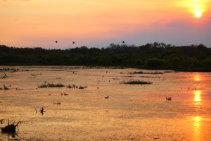 Fogg Dam Darwin Sunset
