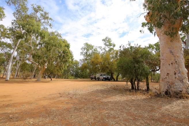Ford Ranger at Mary Pool Free Camp