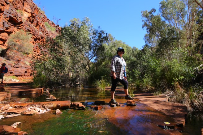 Dales Gorge, Karijini National Park