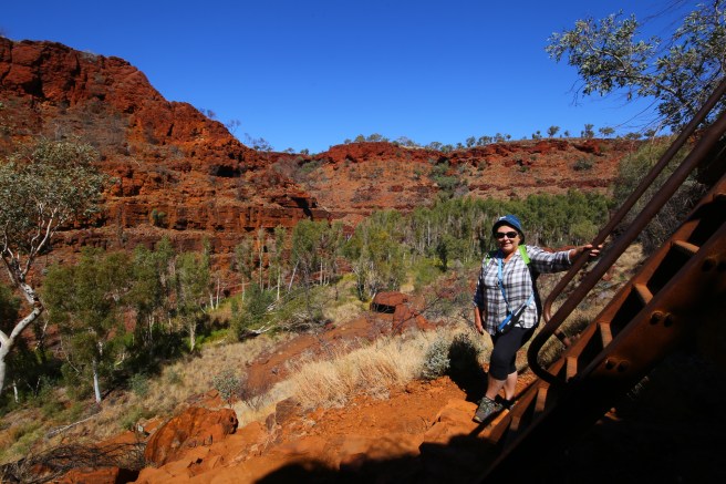 Dales Gorge, Karijini National Park