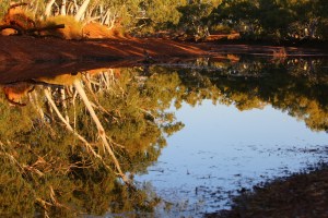 Yannarie Rest Area, North West Coastal Highway, Barradale