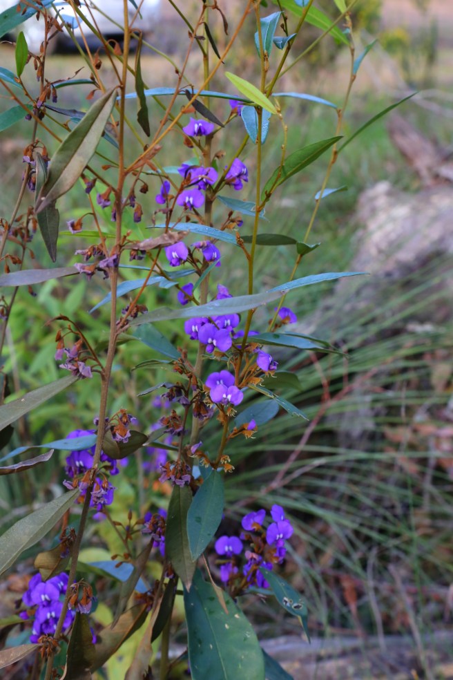 Woody Nook Winery, Margaret River Western Australia