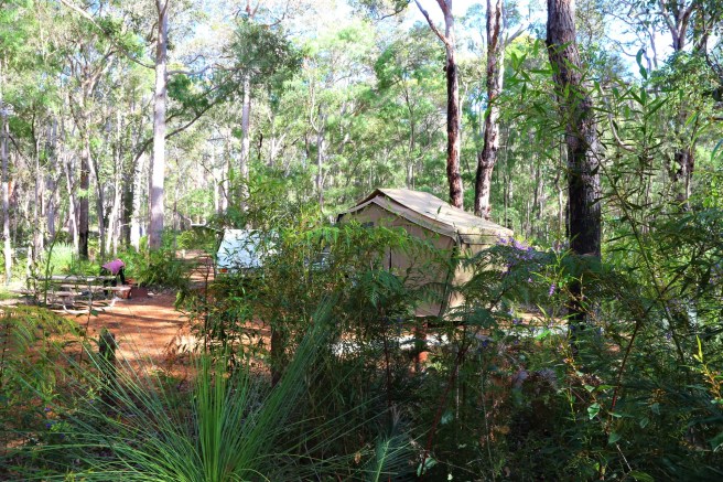 Jarrahdene Leeuwin-Naturaliste National Park Western Australia