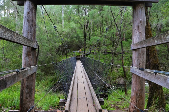The Greater Beedelup National park
