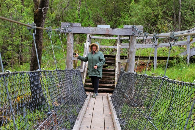 The Greater Beedelup National park