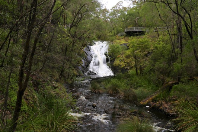 The Greater Beedelup National park