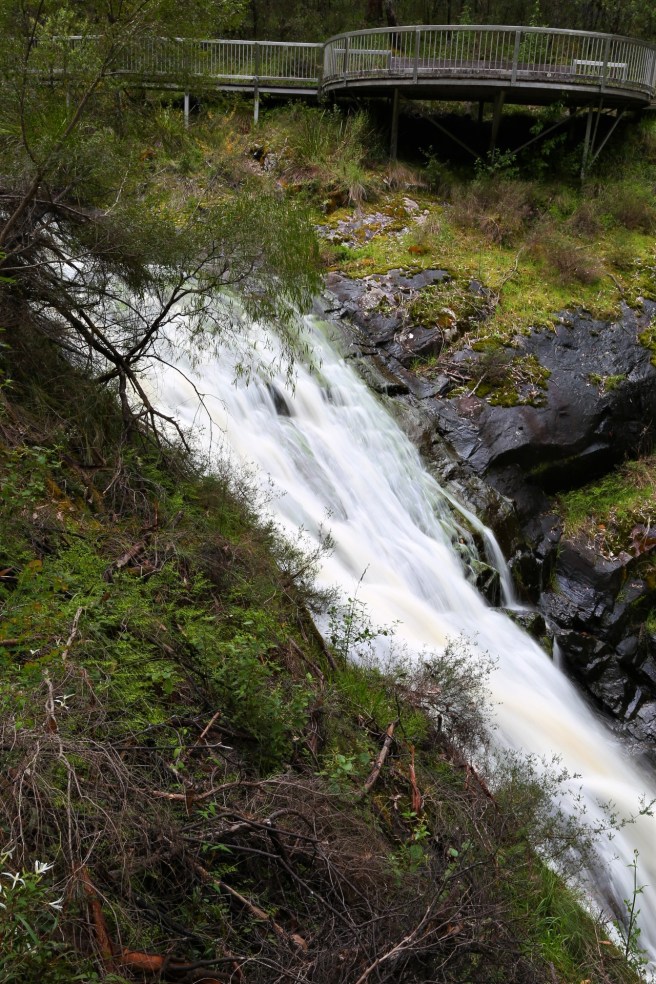The Greater Beedelup National park
