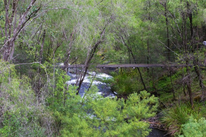 The Greater Beedelup National park