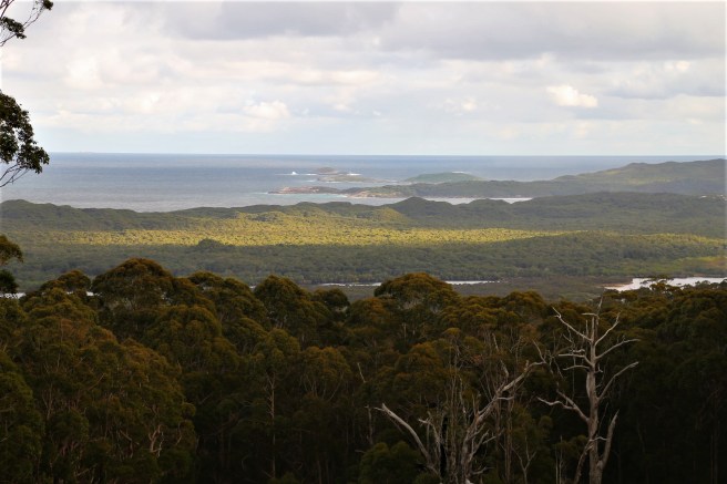 Hilltop Road lookout over the Frankland River, Nornalup Inlet and Southern Ocean