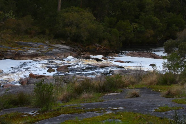 Walpole-Nornalup National Park - Circular Pool