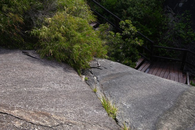 Elephant Cove, William Bay National Park, Western Australia