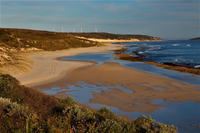 Windmill Farm - Great Ocean Drive, Esperance, Western Australia