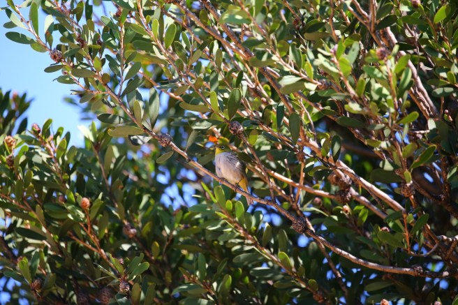 Le Grand Campground - Cape Le Grand National Park, Western Australia