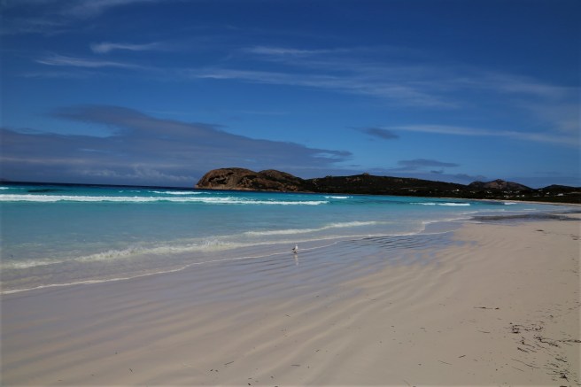 Lucky Bay - Cape Le Grand National Park, Western Australia