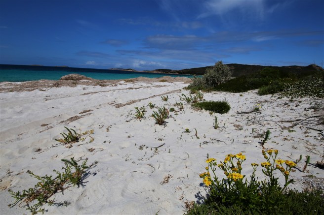 Rossister Bay - Cape Le Grand National Park, Western Australia