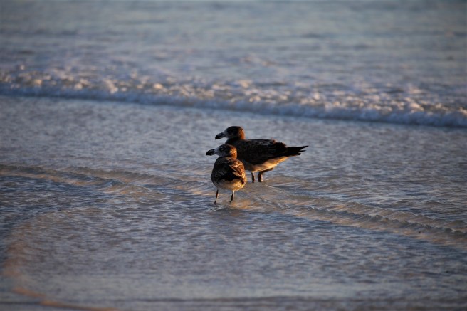 Le Grand Beach, Cape Le Grand National Park, Western Australia