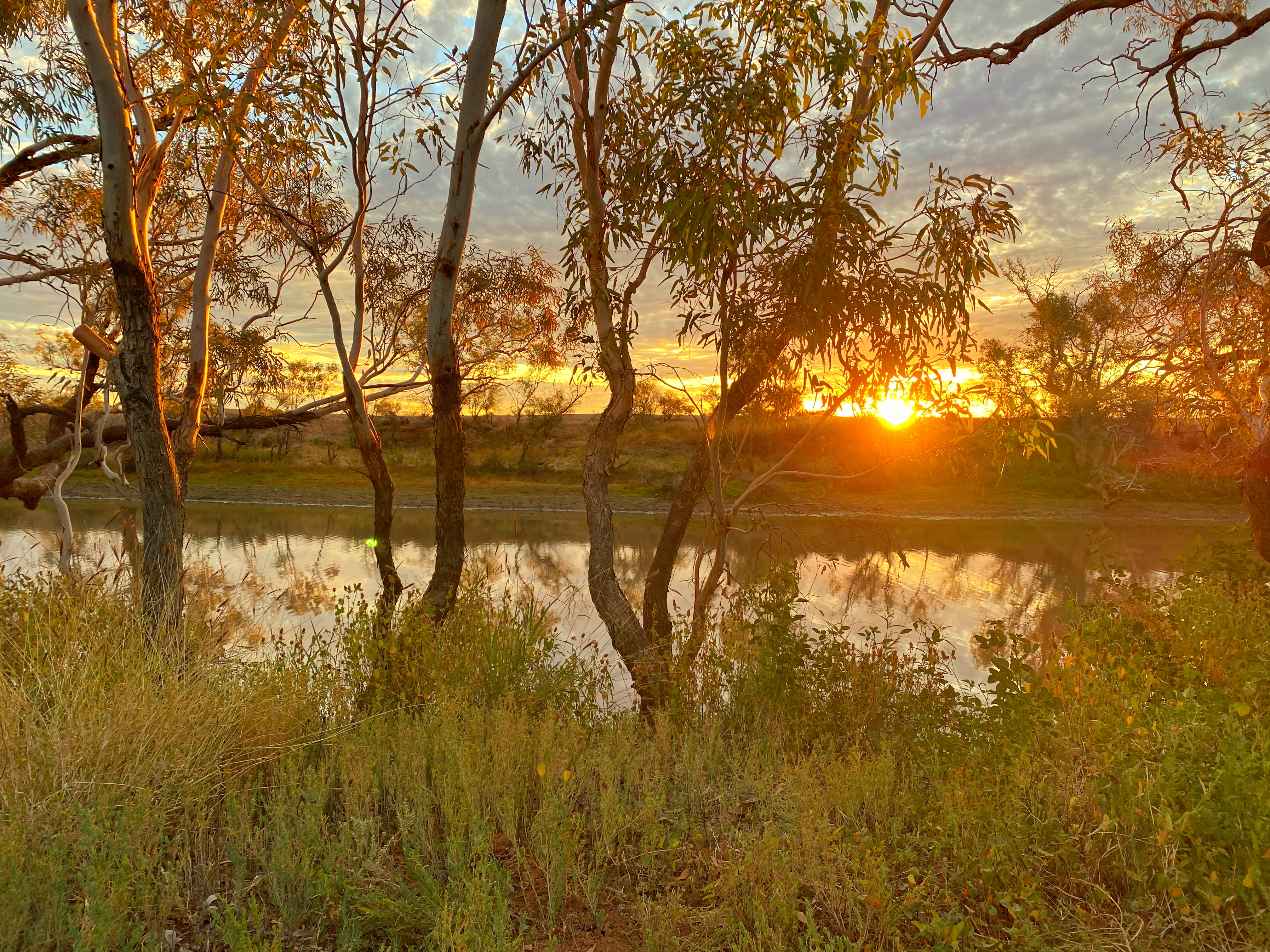 Kathleen Creek, Free Camping, Oodnadatta Track