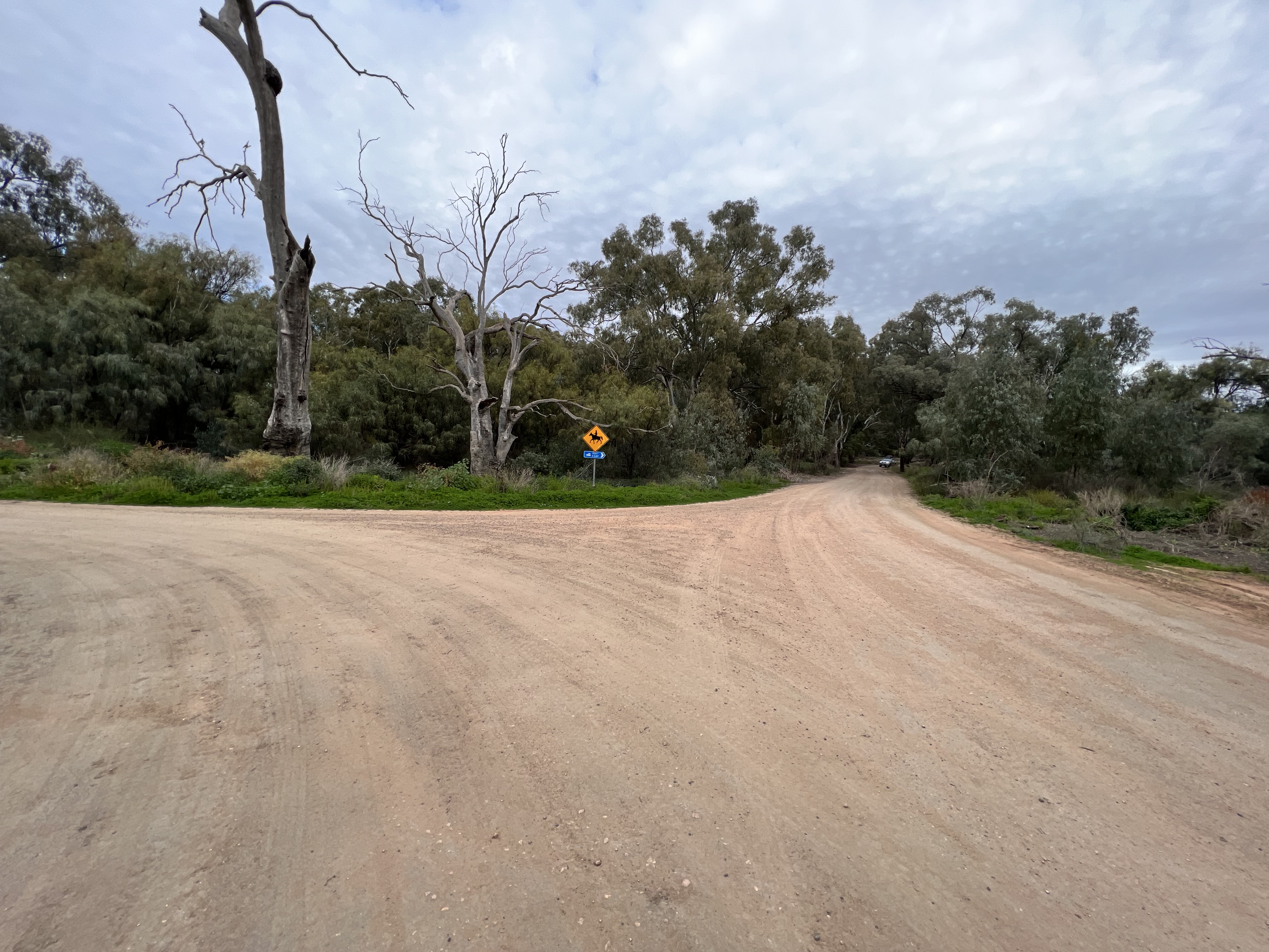 Thegoa Lagoon, Wentworth Shire Council, NSW, Free Camping