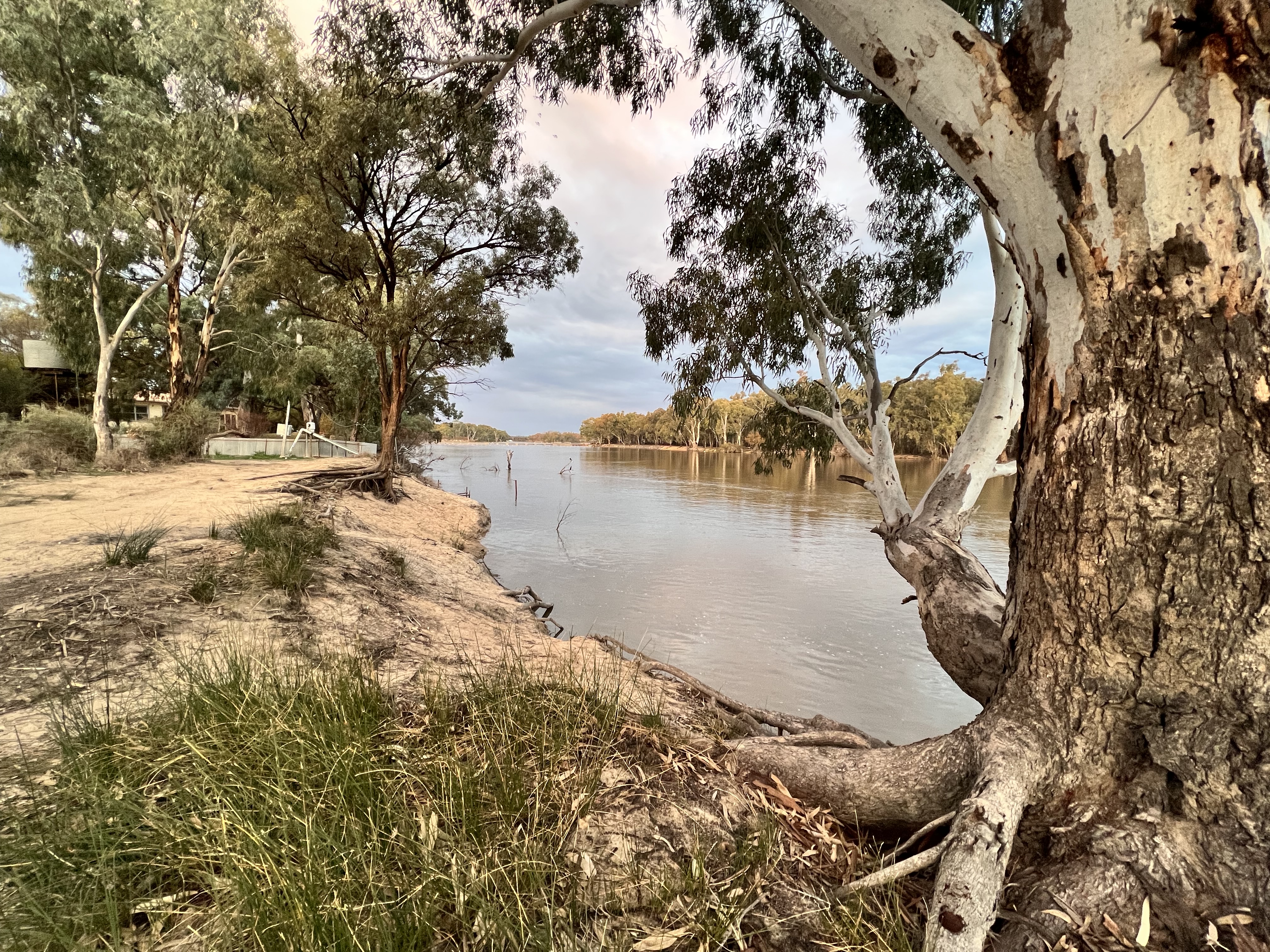 Thegoa Lagoon, Wentworth Shire Council, NSW, Murray River, Free Camping