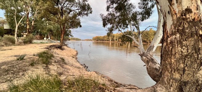 Thegoa Lagoon, Wentworth Shire Council, NSW, Murray River, Free Camping