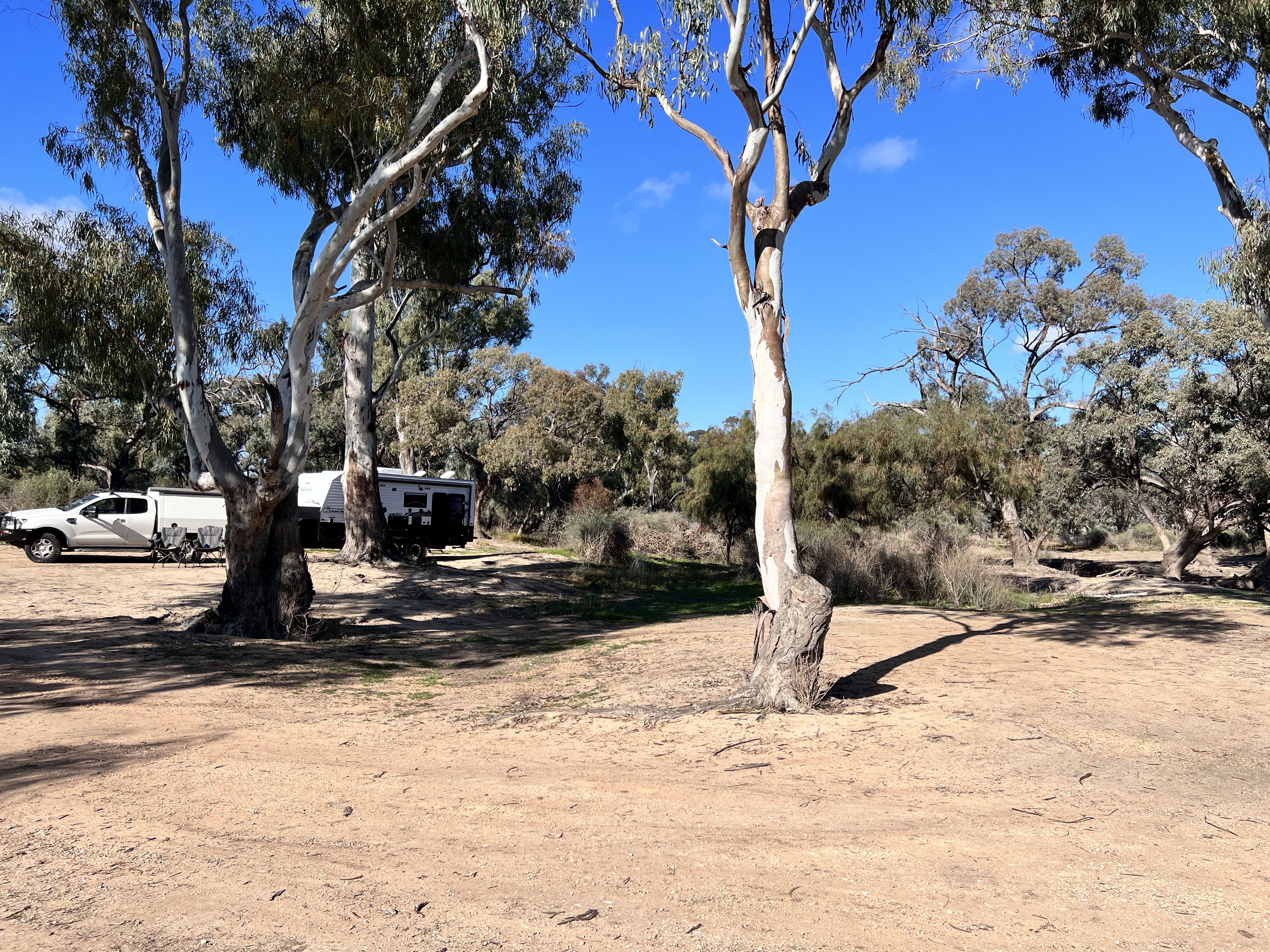 Camp spot - Crozier Rock Track - Lock 9, Murray River