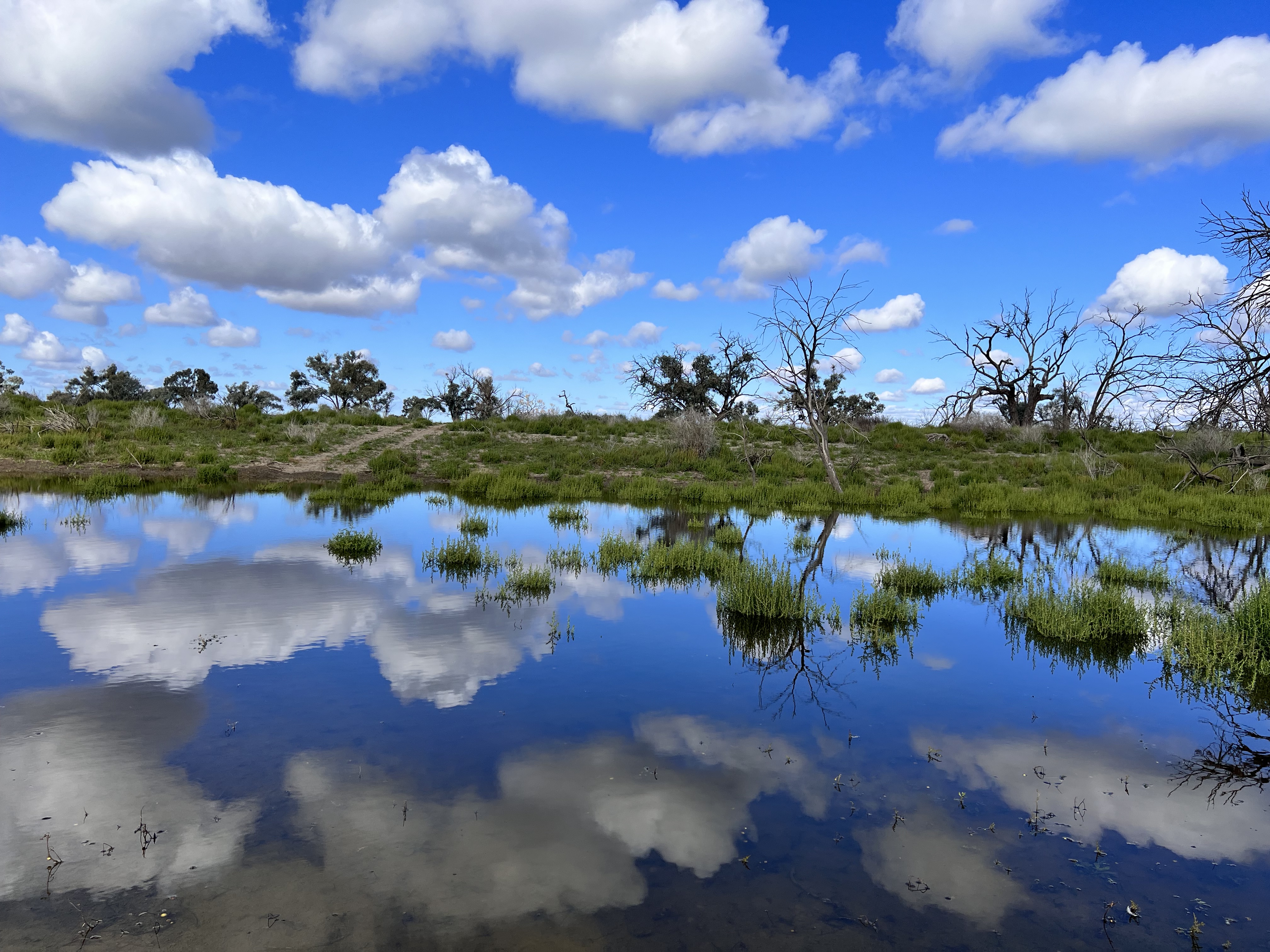 Anabranch from the camp spot. Lock 9 Murray River