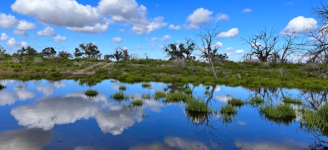 Anabranch from the camp spot. Lock 9 Murray River