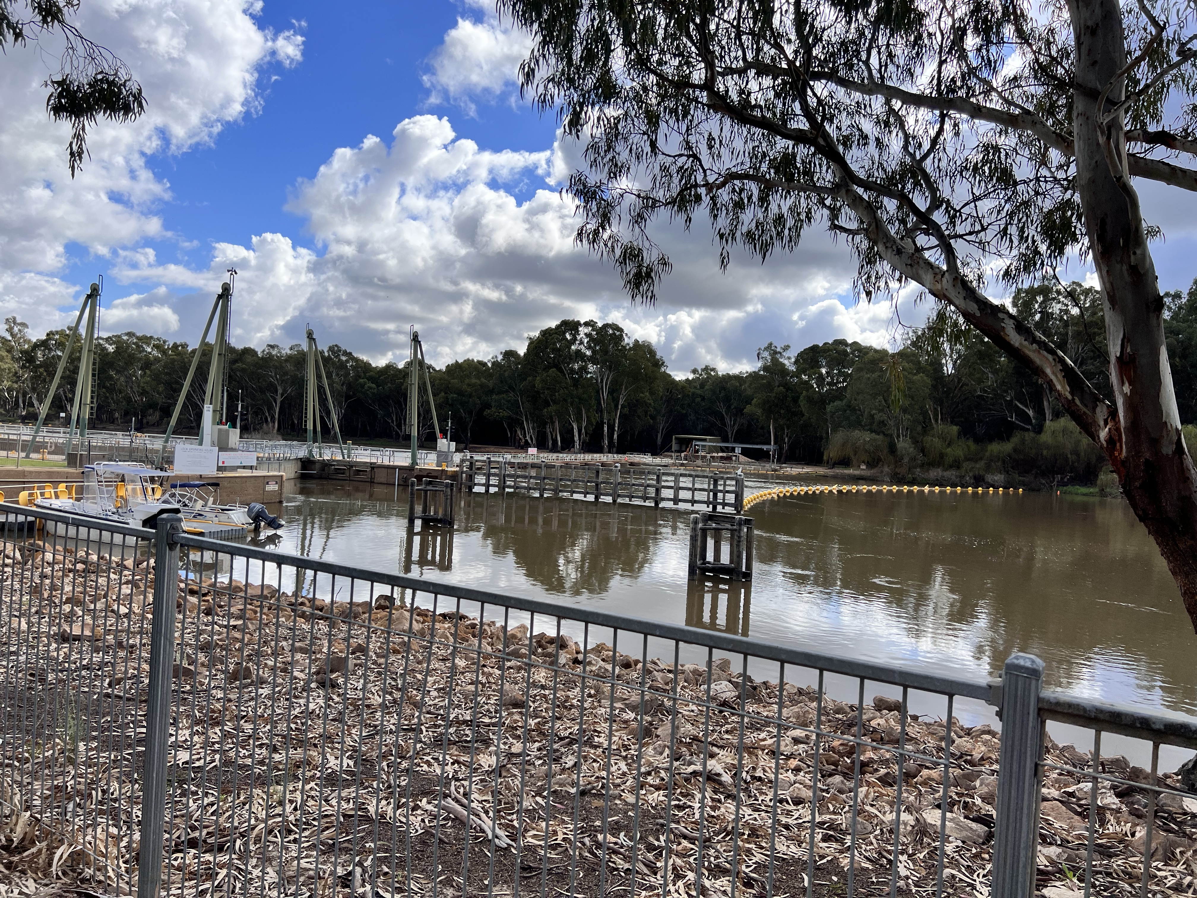 Lock 9 and weir, Murray River