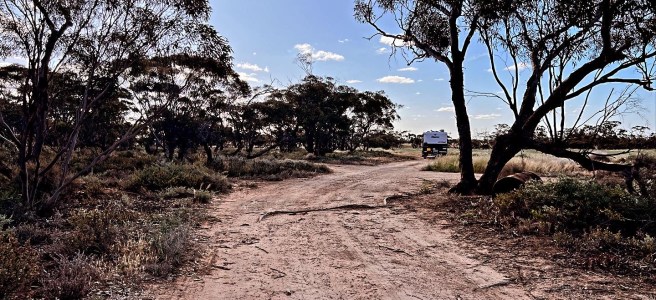 Wakool River Reserve, Werai Lane, Wakool Area, NSW