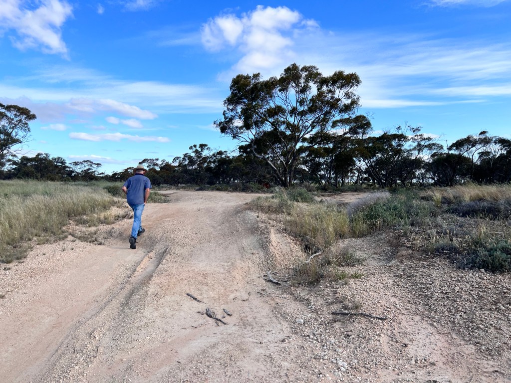 Stub Tank Bushland Reserve, Calder Highway, Ouyen, Victoria. Free Camping, Walking Tracks