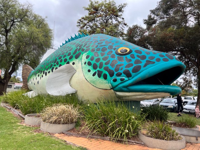 Swan Hill, Heart of the Murray, Victoria.