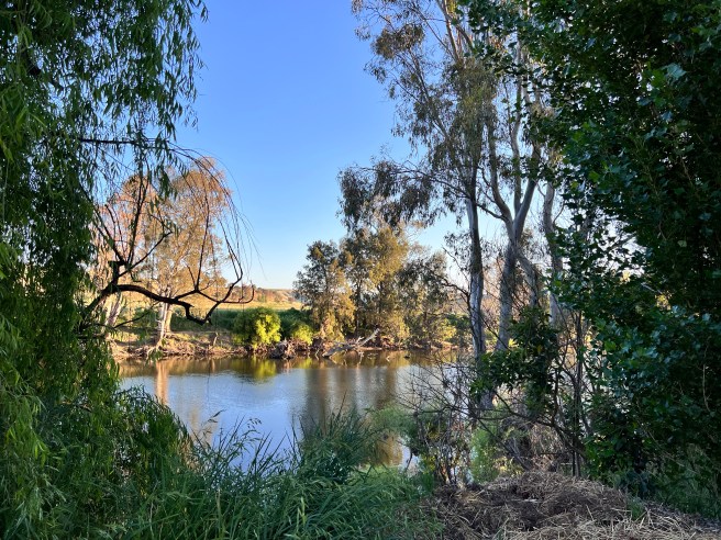Jugiong Showground - RV Park, Jugiong, NSW. Murrumbidgee River. Camping