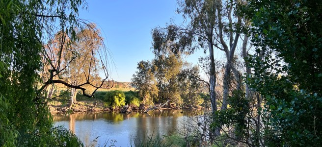 Jugiong Showground - RV Park, Jugiong, NSW. Murrumbidgee River. Camping