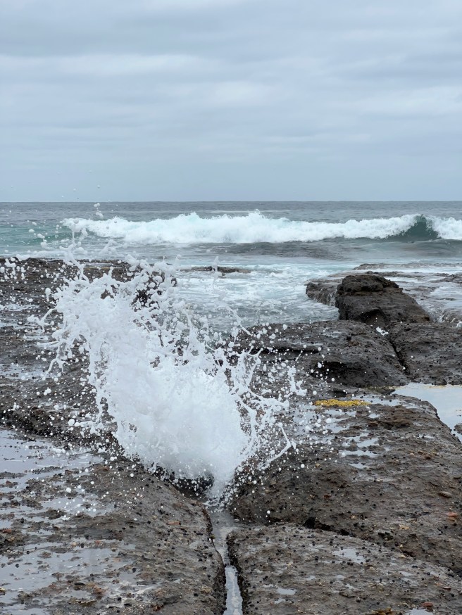 Rock Platform Walk, Depot Beach, Murramarang National Park, NSW