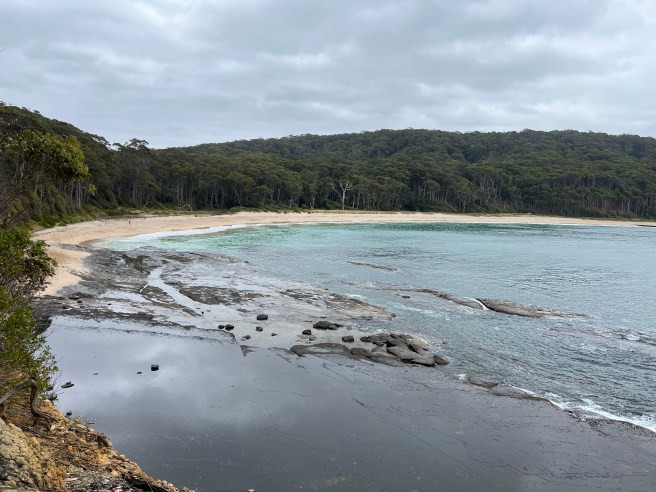 Loop around village, Depot Beach, Murramarang National Park, NSW