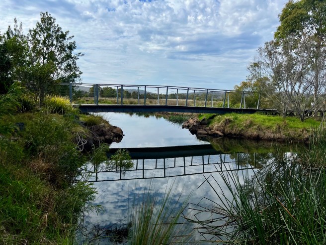Panboola, Pambula Wetlands and Heritage Project, Pambula NSW