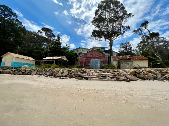 Pambula River Walking Track, Beowa National Park, Pambula NSW