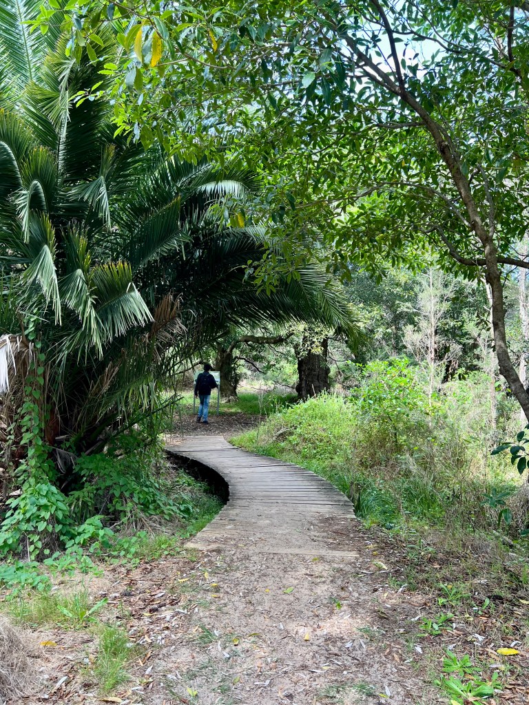 Boardwalk Track, Lakes Entrance, Bass Strait, Victoria