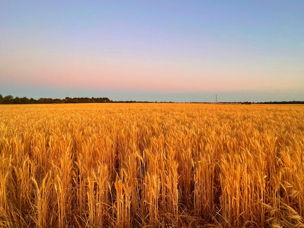 Nhill Aviation Museum - Nhill, Victoria
