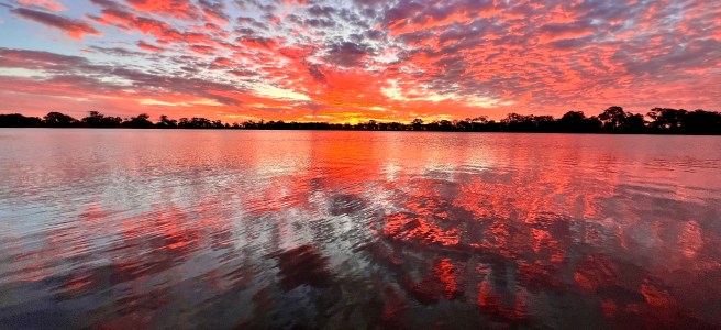 Cockatoo Lake Recreation Area, Padthaway, South Australia