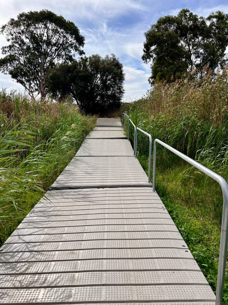 Bool Lagoon Reserve and Hacks Lagoon Conservation Park, South Australia