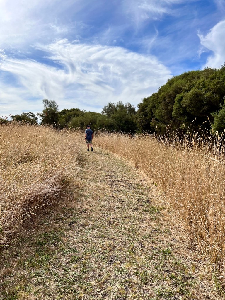 Bool Lagoon Reserve and Hacks Lagoon Conservation Park, South Australia
